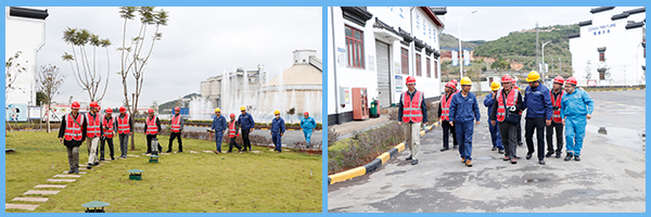 1604281586822258.jpg 1.jpg