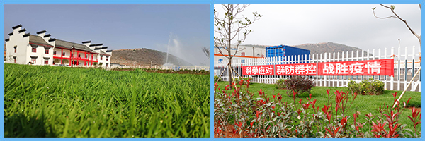 1615108603807735.jpg 1.jpg